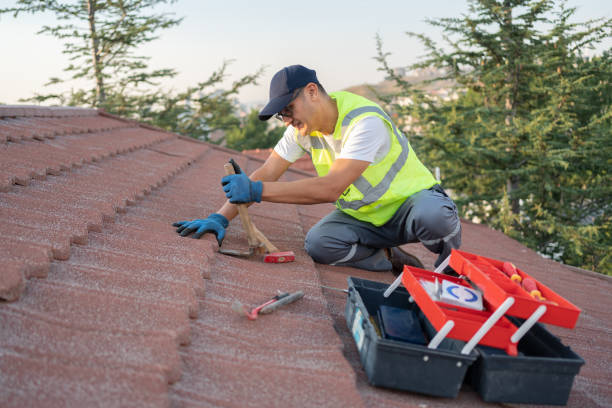 Best Roof Leak Repair  in Chevy Chase View, MD
